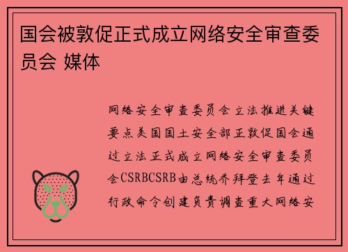 国会被敦促正式成立网络安全审查委员会 媒体